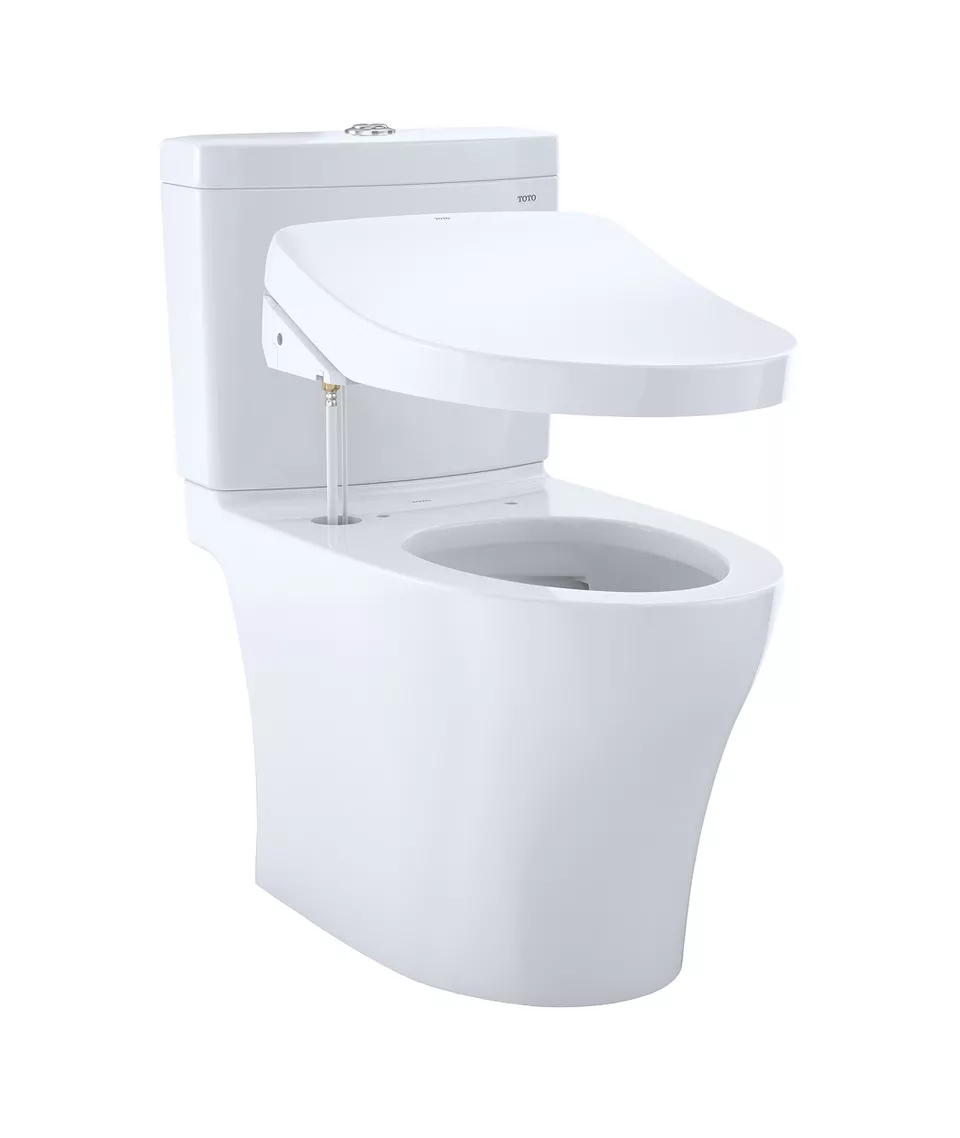 Image of deconstructed WASHLET + Model