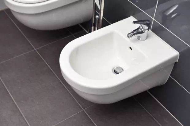 image of traditional bidet