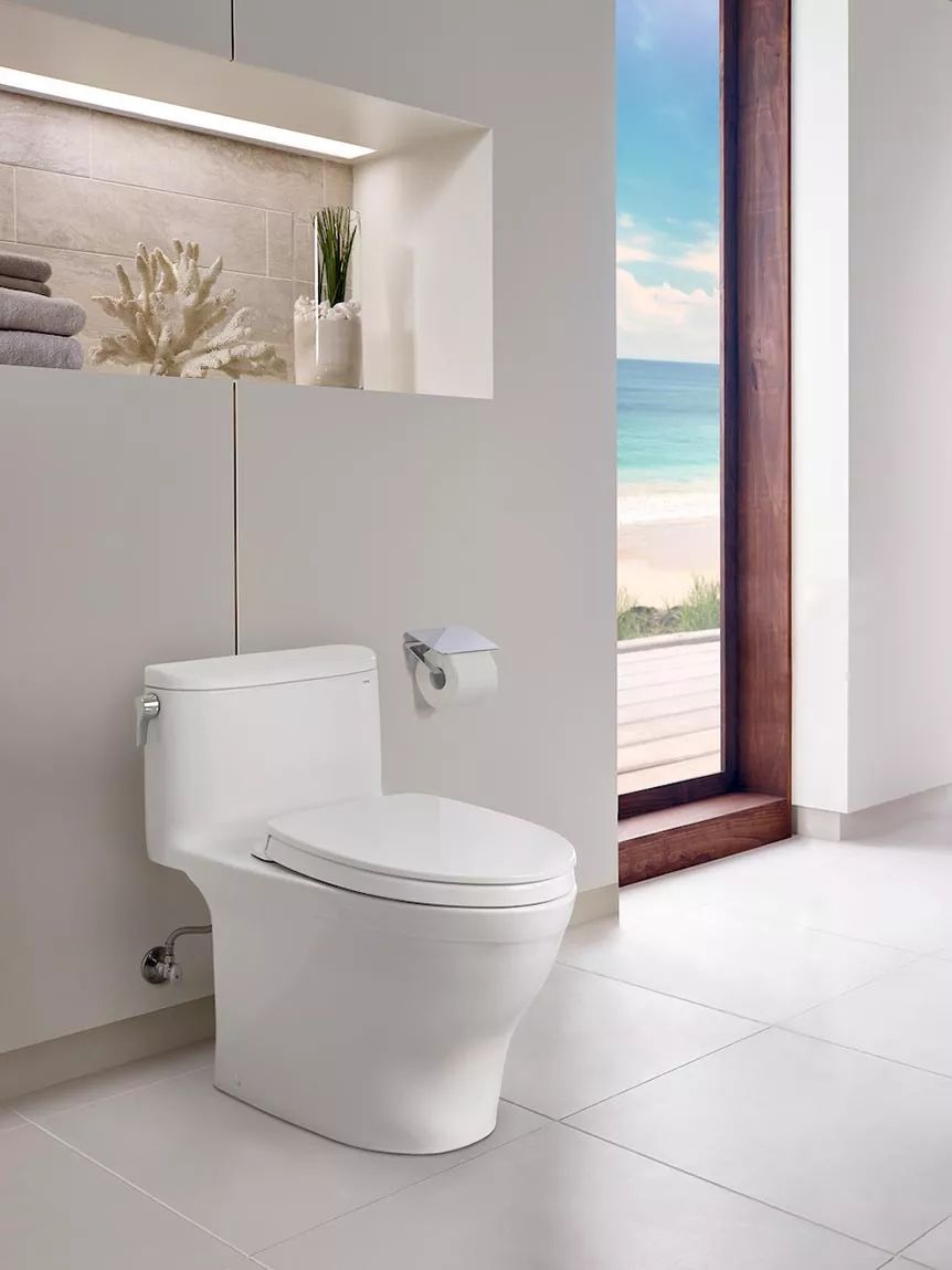 Example of one-piece WASHLET+