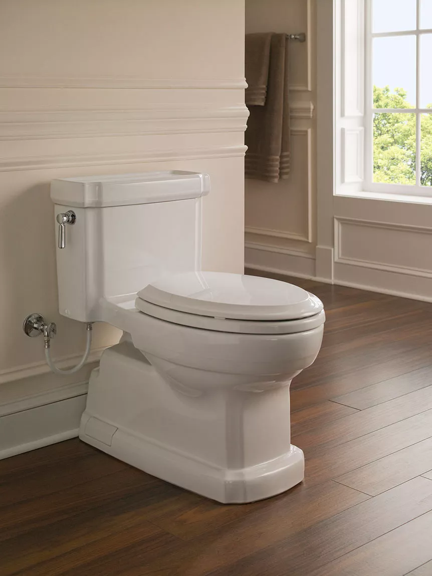 The elegant Guinevere One-Piece High-Efficiency 1.28 GPF Toilet by TOTO in a sunny bathroom with wood flooring and white wainscoting.